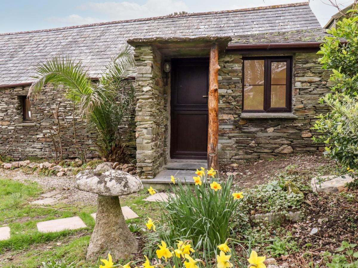 Downrow Barn Casa vacanze Tintagel